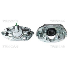 Umlenk- / Führungsrolle, Keilrippenriemen 8641 131001 von TRISCAN günstig für 65,02 € online kaufen