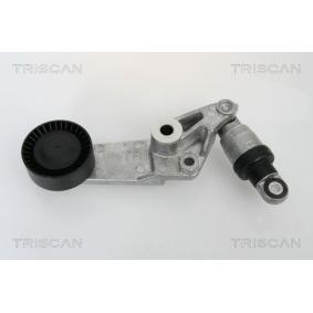 Spannarm, Keilrippenriemen für LOTUS von TRISCAN