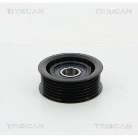 Umlenk- / Führungsrolle, Keilrippenriemen 8641 152021 von TRISCAN günstig für 31,10 € online kaufen