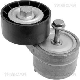 Spannarm, Keilrippenriemen 8641 153001 von TRISCAN günstig für 50,15 € online kaufen