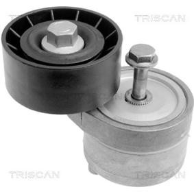 Spannarm, Keilrippenriemen 8641 153002 von TRISCAN günstig für 47,01 € online kaufen