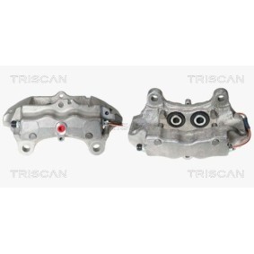 Umlenk- / Führungsrolle, Keilrippenriemen 8641 162007 von TRISCAN günstig für 19,48 € online kaufen