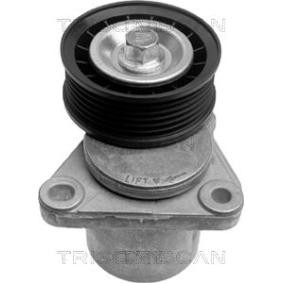 Spannrolle, Keilrippenriemen 8641 163004 von TRISCAN günstig für 104,15 € online kaufen