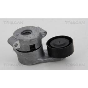 Spannarm, Keilrippenriemen 8641 163017 von TRISCAN günstig für 103,12 € online kaufen