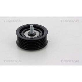Umlenk- / Führungsrolle, Keilrippenriemen 8641 231013 von TRISCAN günstig für 33,30 € online kaufen
