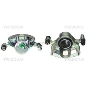 Umlenk- / Führungsrolle, Keilrippenriemen 8641 232019 von TRISCAN günstig für 22,01 € online kaufen
