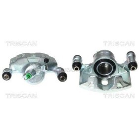 Umlenk- / Führungsrolle, Keilrippenriemen 8641 232021 von TRISCAN günstig für 22,01 € online kaufen
