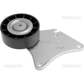 Umlenk- / Führungsrolle, Keilrippenriemen 8641 282007 von TRISCAN günstig für 43,07 € online kaufen