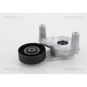 Spannrolle, Keilrippenriemen 8641 432006 von TRISCAN günstig für 107,51 € online kaufen