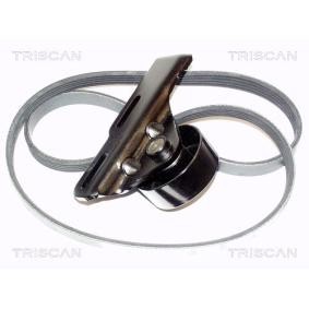 Acquista Kit Cinghie Poly-V da TRISCAN 8642 25003 a buon mercato per soli 168,18 €