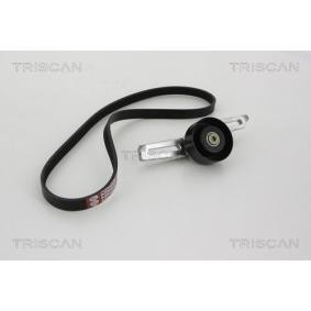 Compre Jogo de correias trapezoidais estriadas da TRISCAN 8642 28011 a um preço baixo por 120,08 €
