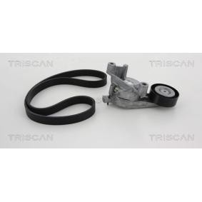 Keilrippenriemensatz 8642 29002 von TRISCAN günstig für 124,72 € online kaufen