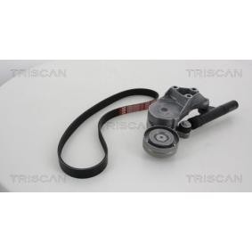 Keilrippenriemensatz 8642 29005 von TRISCAN günstig für 136,70 € online kaufen