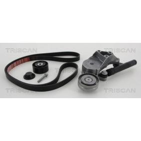 Keilrippenriemensatz 8642 29007 von TRISCAN günstig für 241,55 € online kaufen