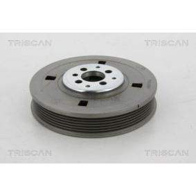 Acquista Puleggia cinghia albero a gomiti da TRISCAN 8643 10002 a buon mercato per soli 199,51 €