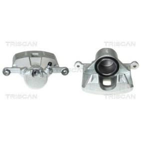 Spannrolle, Zahnriemen 8646 13113 von TRISCAN günstig für 22,98 € online kaufen