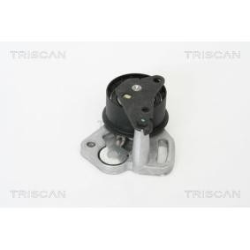 Compre Rolo tensor, correia dentada da TRISCAN 8646 15120 a um preço baixo por 152,54 €