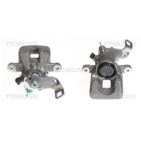 Spannrolle, Zahnriemen 8646 21102 von TRISCAN günstig für 16,99 € online kaufen