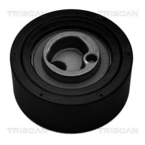 Spannrolle, Zahnriemen 8646 69101 von TRISCAN günstig für 23,91 € online kaufen