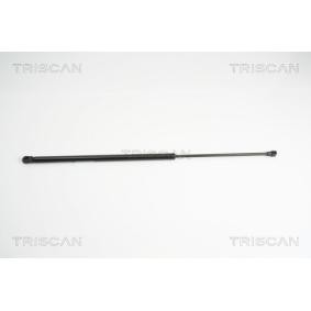 Compre Amortecedor de capô de TRISCAN online para Z4 Coupé (E86) a preços moderados