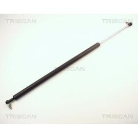 Acquista Pistoncini portellone da TRISCAN online per BLUEBIRD Hatchback (T72, T12) a prezzi moderati