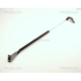 Heckklappendämpfer von TRISCAN