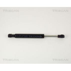 Motorhaubendämpfer für FIAT von TRISCAN