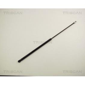 Compre Maletero de TRISCAN online para DUCATO Caja/Chasis (280) a precios moderados