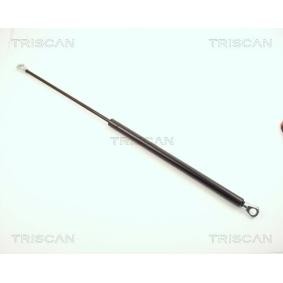 Compre Maletero de TRISCAN online para FIESTA I (GFBT) a precios moderados