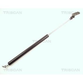 Comprar Amortiguador de maletero de TRISCAN 8710 18207 a bajo precio de 34,71 €