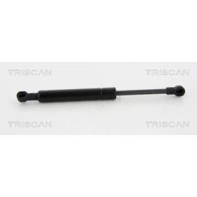 Motorhaubendämpfer 8710 20107 von TRISCAN günstig für 30,20 € online kaufen
