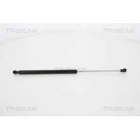Compre Maletero de TRISCAN online para LACETTI Ranchera familiar (J200) a precios moderados