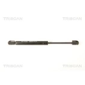 Motorhaubendämpfer 8710 27106 von TRISCAN günstig für 17,72 € online kaufen