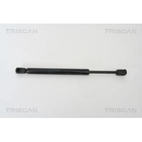 Heckklappendämpfer von TRISCAN