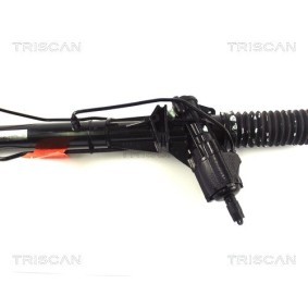 Acquista Ammortizzatore pneumatico cofano motore da TRISCAN 8710 38101 a buon mercato per soli 10,96 €