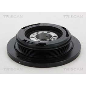 Fahrwerksatz, Federn 8755 14009 NISSAN SUNNY von TRISCAN