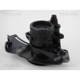 Acquista Accumulatore pressione, Sospensione / Ammortizzazione da TRISCAN 8760 38110 a buon mercato per soli 66,32 €