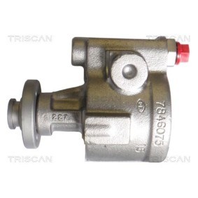 Acquista Accumulatore pressione, Sospensione / Ammortizzazione da TRISCAN 8760 38114 a buon mercato per soli 51,42 €