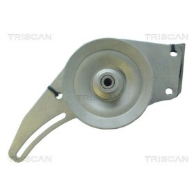 Acquista Accumulatore pressione, Sospensione / Ammortizzazione da TRISCAN 8760 38115 a buon mercato per soli 74,91 €