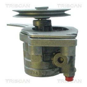 Acquista Accumulatore pressione, Sospensione / Ammortizzazione da TRISCAN 8760 38116 a buon mercato per soli 53,50 €