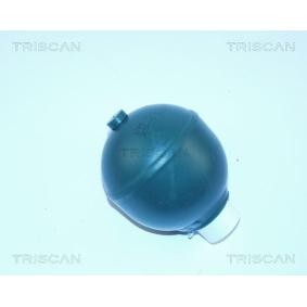 Acquista Accumulatore pressione, Sospensione / Ammortizzazione da TRISCAN 8760 38117 a buon mercato per soli 53,50 €