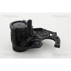 Acquista Accumulatore pressione, Sospensione / Ammortizzazione da TRISCAN 8760 38119 a buon mercato per soli 65,18 €