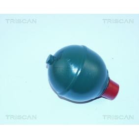 Acquista Accumulatore pressione, Sospensione / Ammortizzazione da TRISCAN 8760 38121 a buon mercato per soli 61,84 €