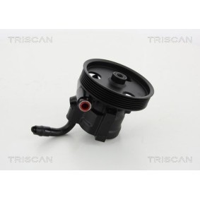 Acquista Accumulatore pressione, Sospensione / Ammortizzazione da TRISCAN 8760 38203 a buon mercato per soli 66,32 €