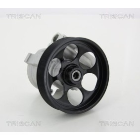 Acquista Accumulatore pressione, Sospensione / Ammortizzazione da TRISCAN 8760 38213 a buon mercato per soli 60,45 €