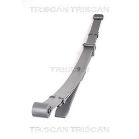 Federpaket von TRISCAN