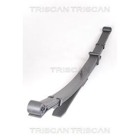 Federpaket von TRISCAN