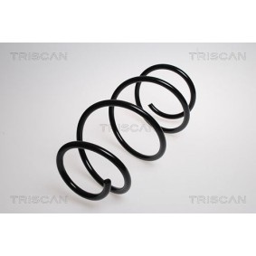 Federpaket für VAUXHALL von TRISCAN