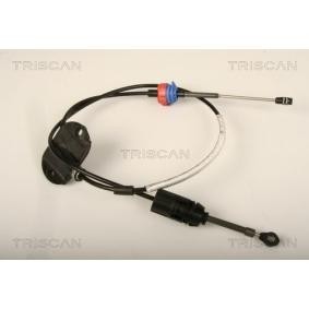 Seilzug, Automatikgetriebe 8140 16703 von TRISCAN günstig für 46,55 € online kaufen