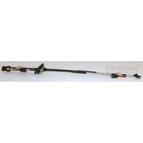 Seilzug, Schaltgetriebe 8140 28713 von TRISCAN günstig für 185,74 € online kaufen
